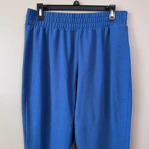 J.Crew Factory Blue Sweatpant Joggers - Picture 3 of 5